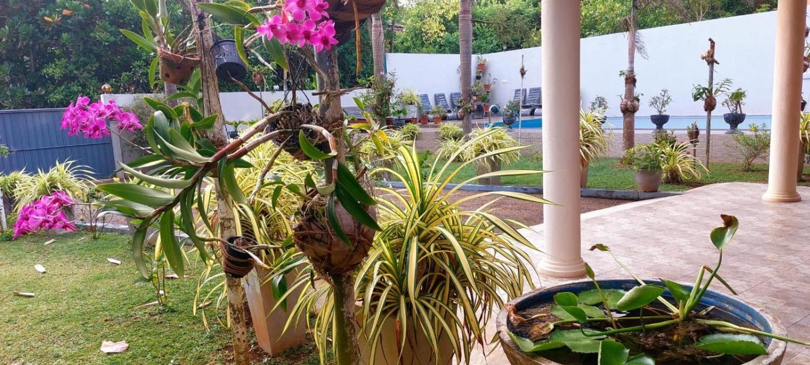 Turtle Paradise Villa Kosgoda Exterior photo